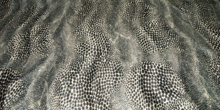 Black Snake Skin Print Velvet