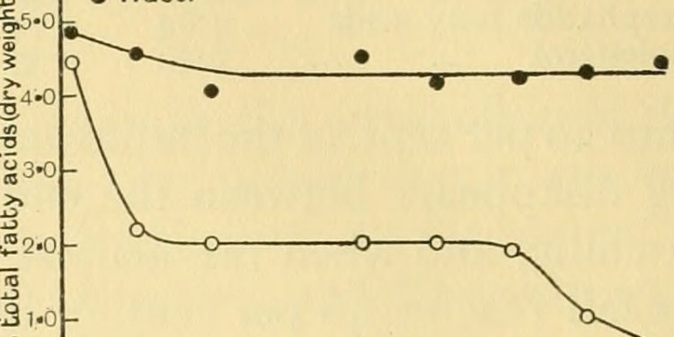 Image from page 597 of Chemical embryology (1931