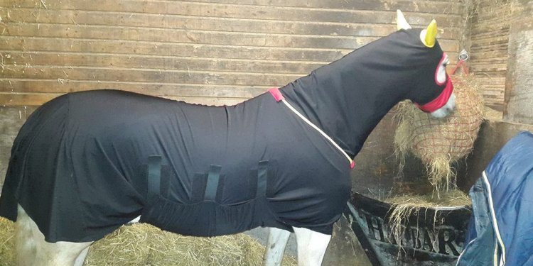 Lycra horse onesie. lycra