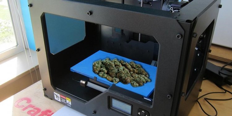 Cannabis 3D Printer – Pierwsza