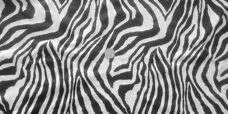 Zebra Print 4-Way stretch Matt