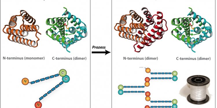 Silk By NMR Allowed To Develop