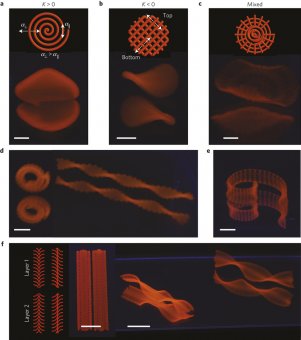 4D printed objects from jennifer lewis at harvard 3D printing