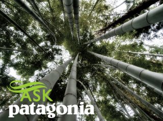 bamboo, Patagonia, eco-fashion, sustainable fashion, green fashion, Ask a Designer