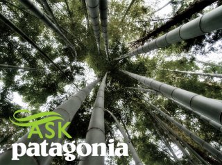Bamboo Forest bamboo, Patagonia, eco-fashion, sustainable fashion, green fashion, Ask a Designer