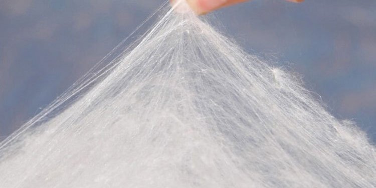 Chemical composition of silk fibres