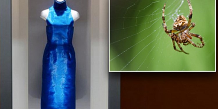 Spider silk Dress