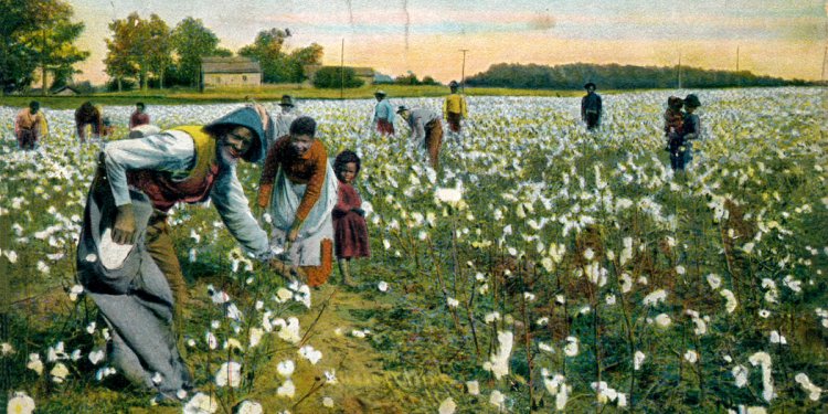 Cotton Industry History
