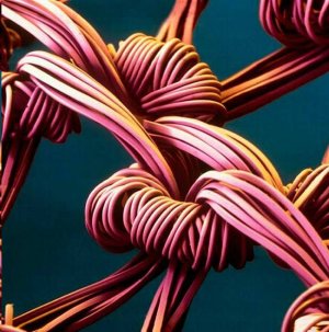 Nylon Stocking Weave Scanning Electron Microscope Man-made Fabric