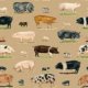 Pig Print Fleece Fabric