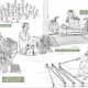 Process of Making cloth from cotton