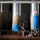 Viscose rayon process
