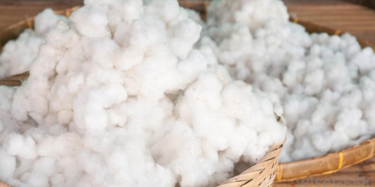 Different types of cotton