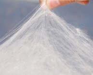 Chemical composition of silk fibres
