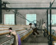 Cotton manufacturing process