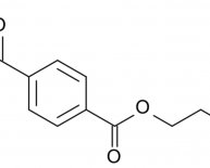 Polyester and polyethylene