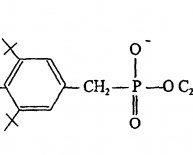 Polyester chips manufacturing process