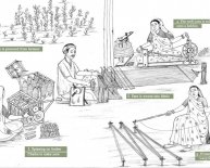 Process of Making cloth from cotton