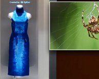 Spider silk Dress