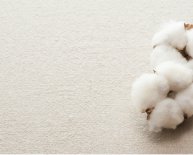 Things made out of cotton