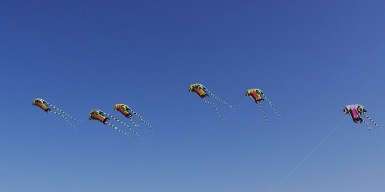 Line ripstop nylon fabric