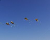 Advantages of nylon Clothing