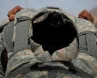 Silkworms silk production